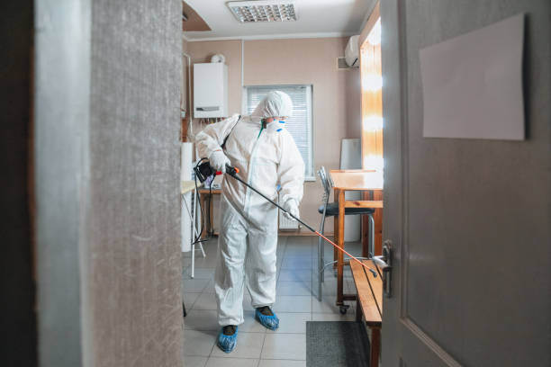 Best Biohazard Mold Removal  in Denton, MD